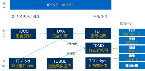 2025新澳门天天精准免费大全,详细解答、专家全面解释与落实